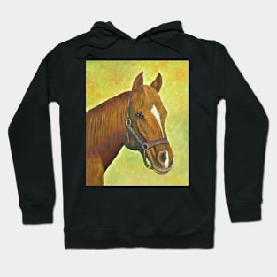 Horse beauty Hoodie